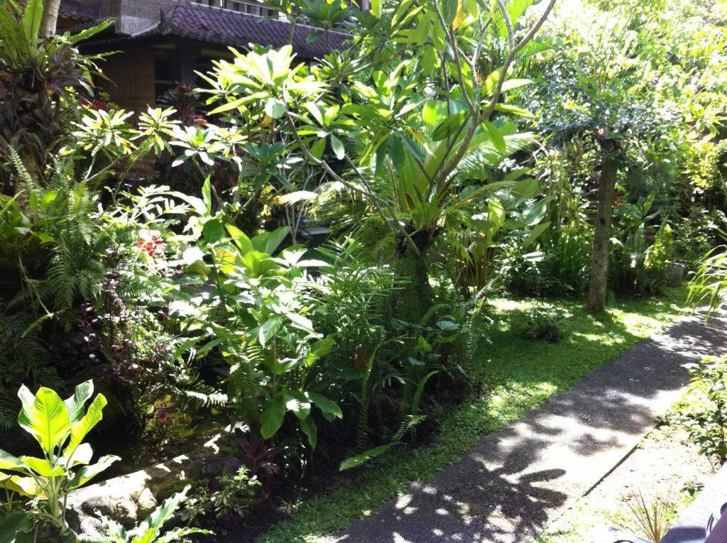 Karang Mesari Casa de hóspedes *