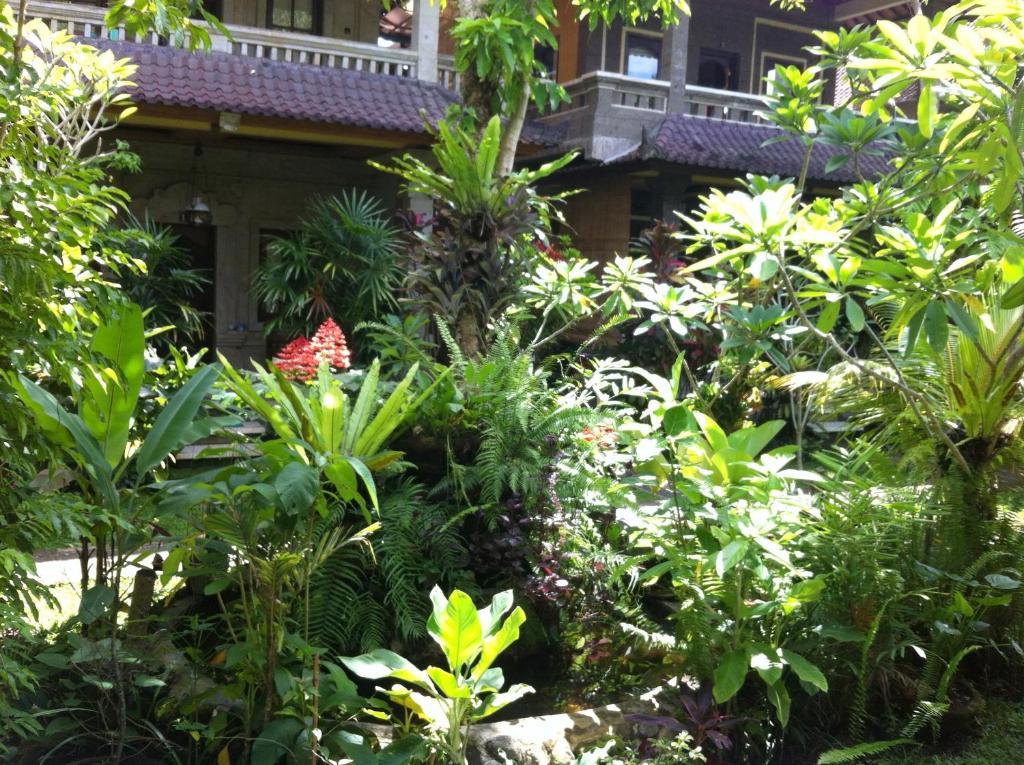 Karang Mesari * Ubud (Bali)