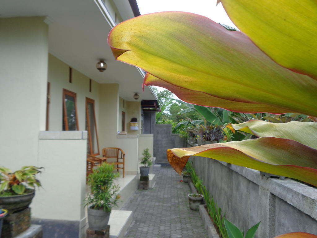 Homestay Sintya *
