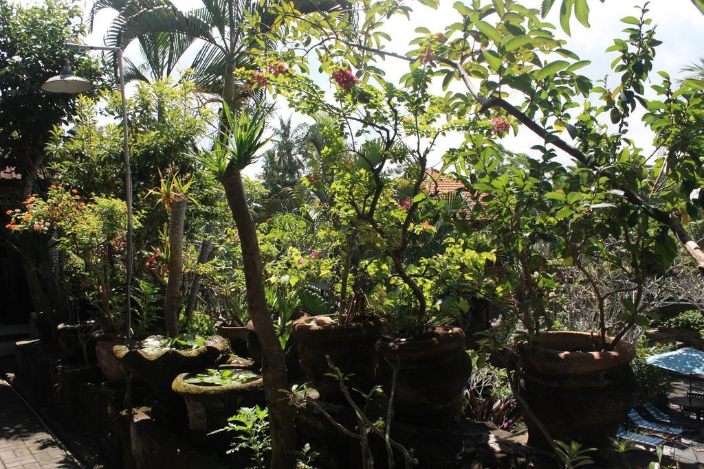 Homestay Raditia Ubud (Bali)