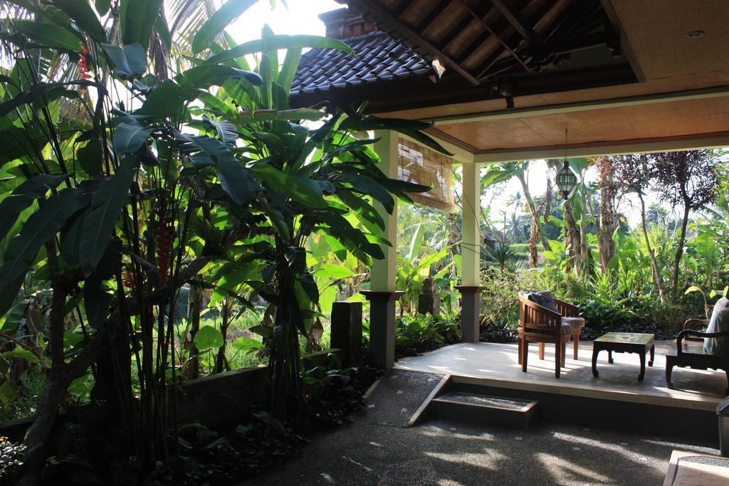 Guest house Wonder-land