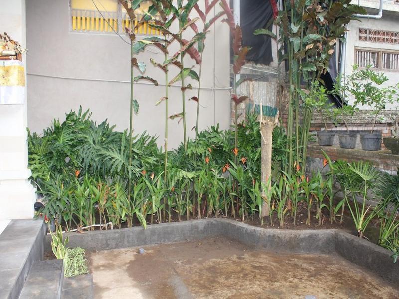 Gasthuis Dono Ubud