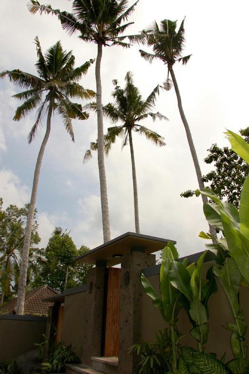 Villa Padma Ubud (Bali)