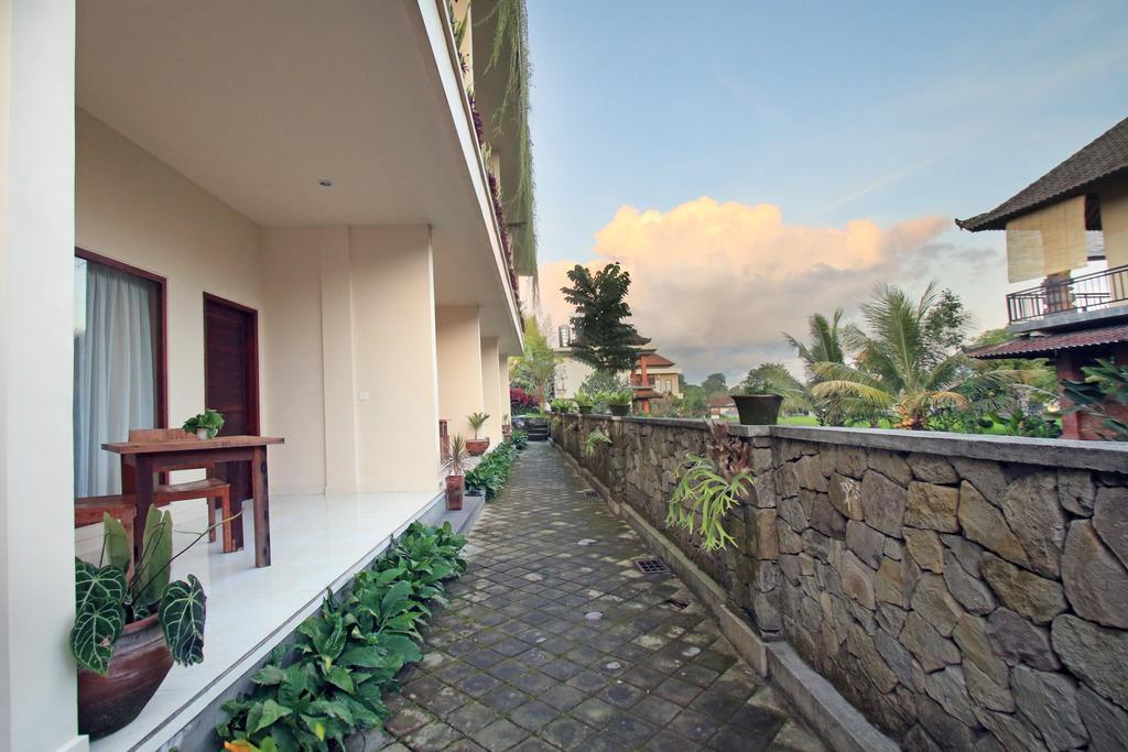 Guest house Arnawa 3*