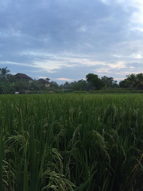 Pondok Buda Merta Ubud