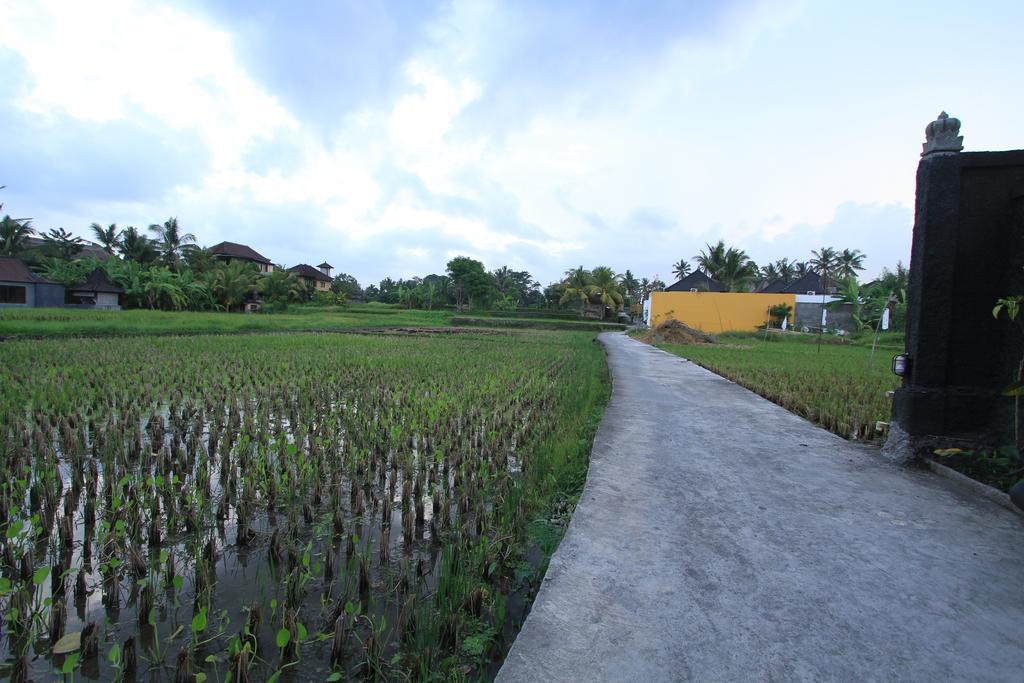 Pondok Buda Merta