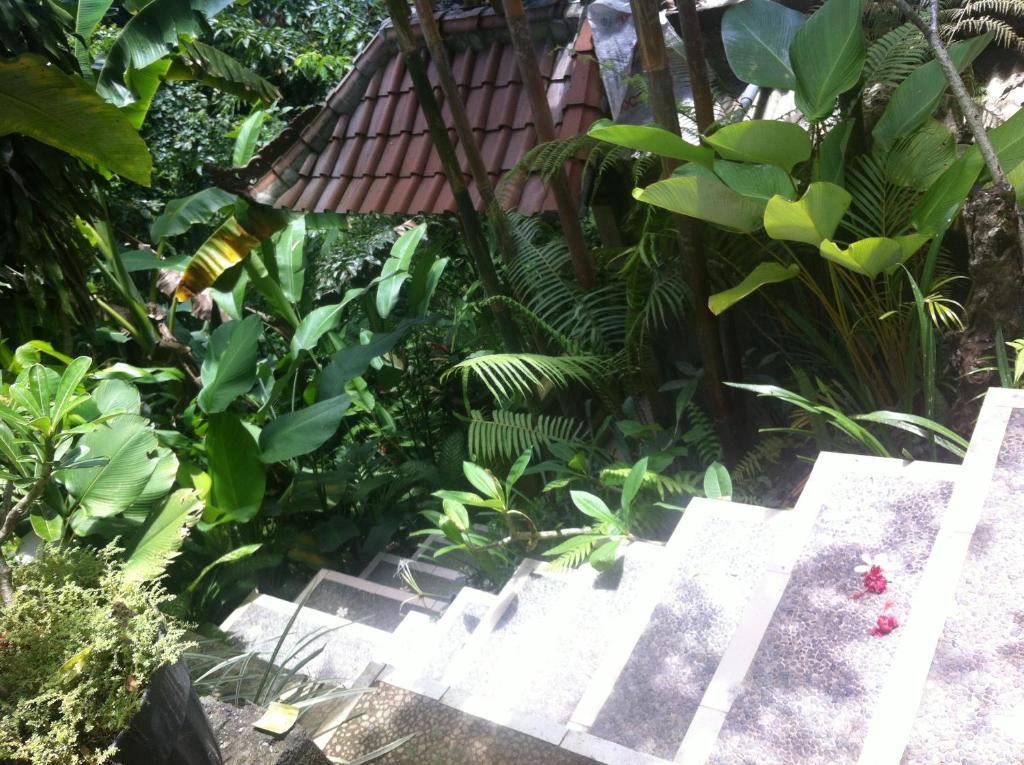 Karang Mesari Guest house Ubud (Bali)