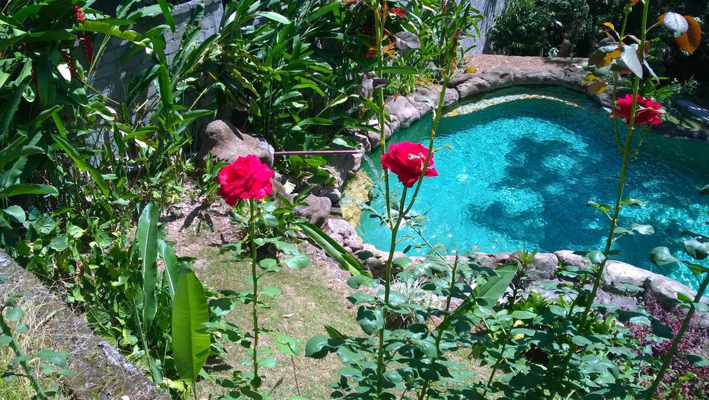 Guest house Wonder-land 3*