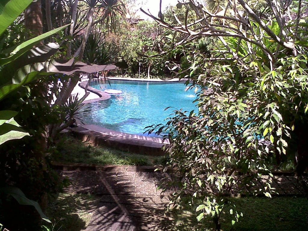 Arjana 2 Guest house Ubud (Bali)