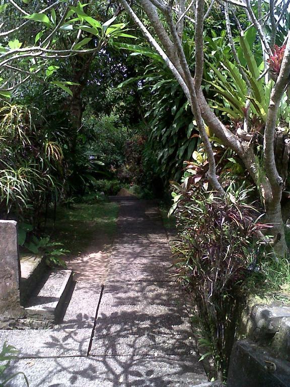 Arjana 2 Guest house