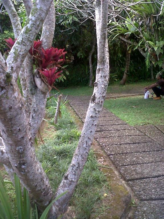 Arjana 2 Guest house