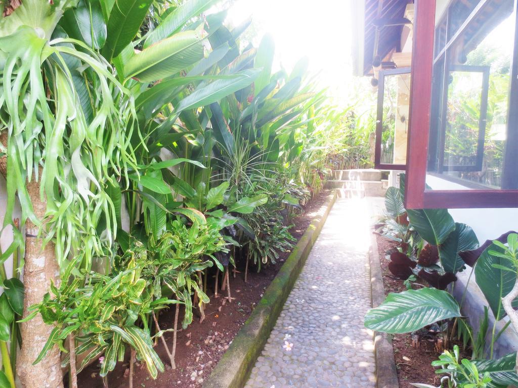 Guest house Peteka 3*