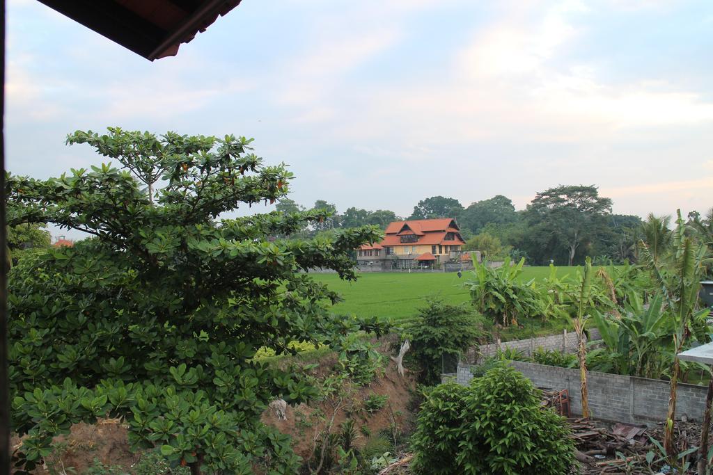 Betutu Bali Guest house Ubud (Bali)
