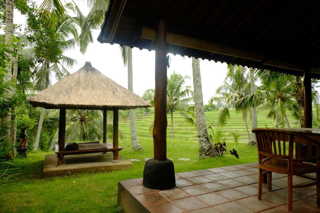 Guest house Green House 2*