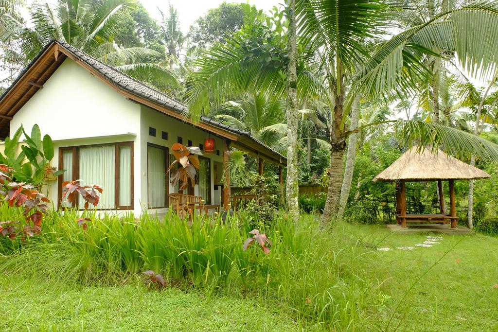 Green House 2*