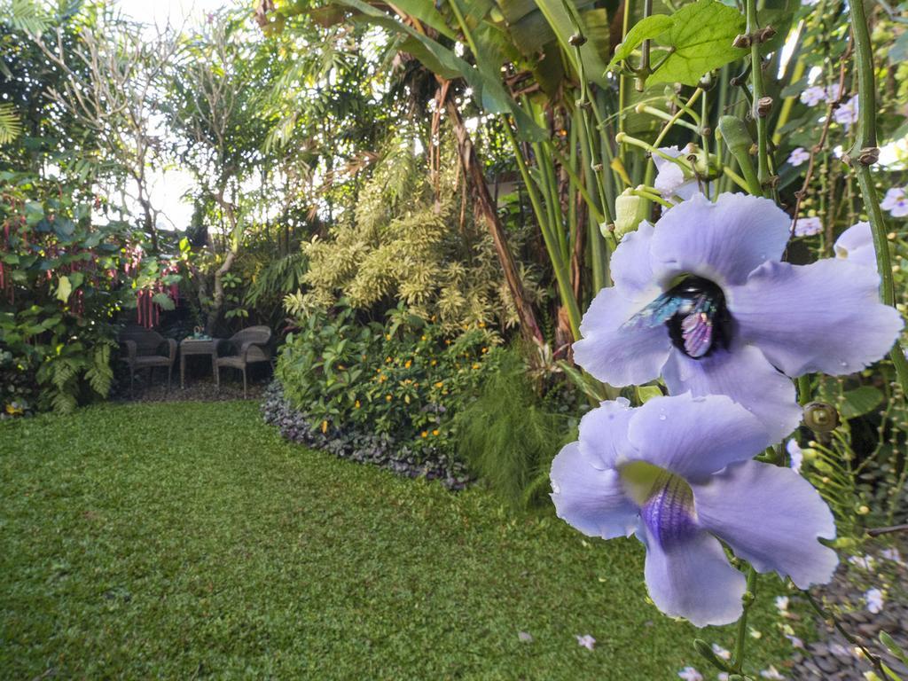 Shinta Dewi By Sanga Sanga Hospitality Villa