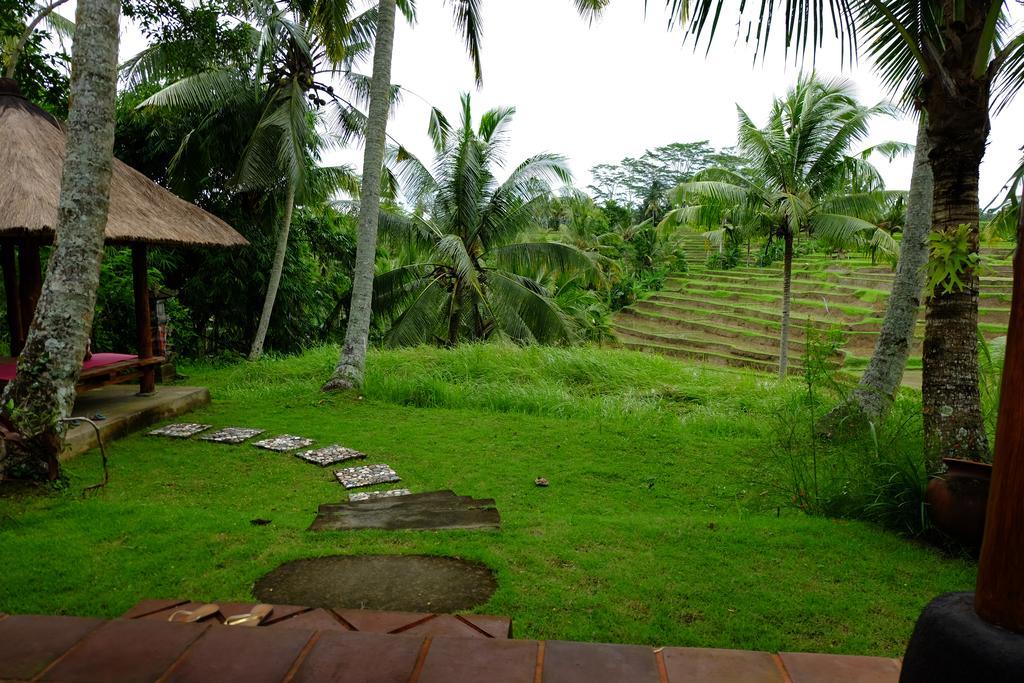 Green House 2* Ubud (Bali)