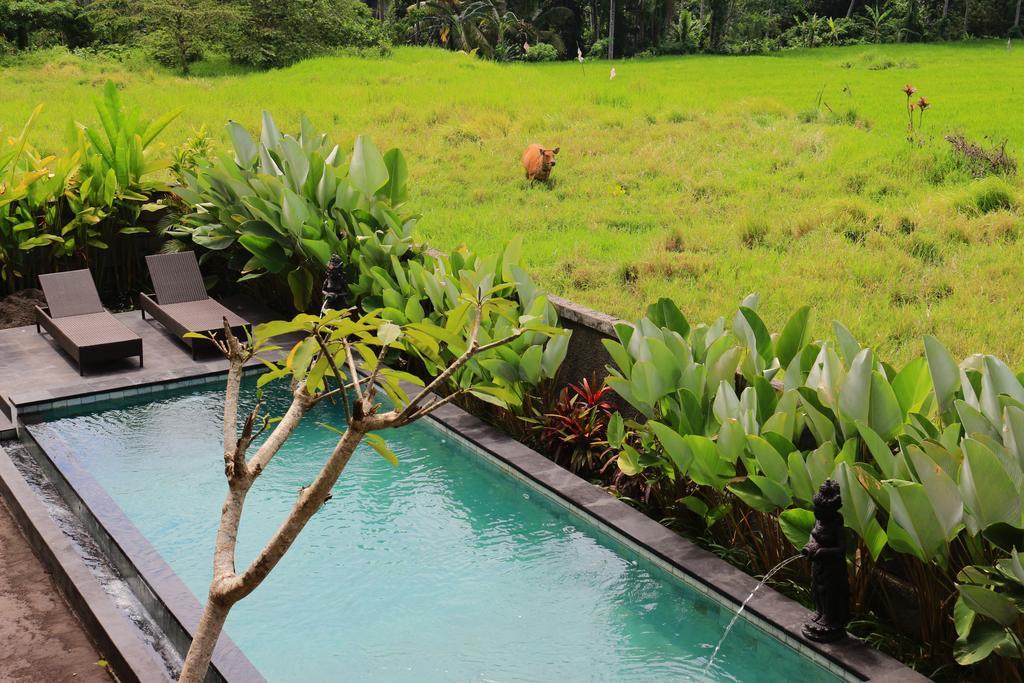 Uma Kutuh 2 2* Ubud
