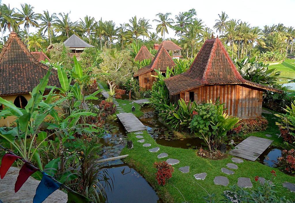 Dragonfly Village Holiday park 3*