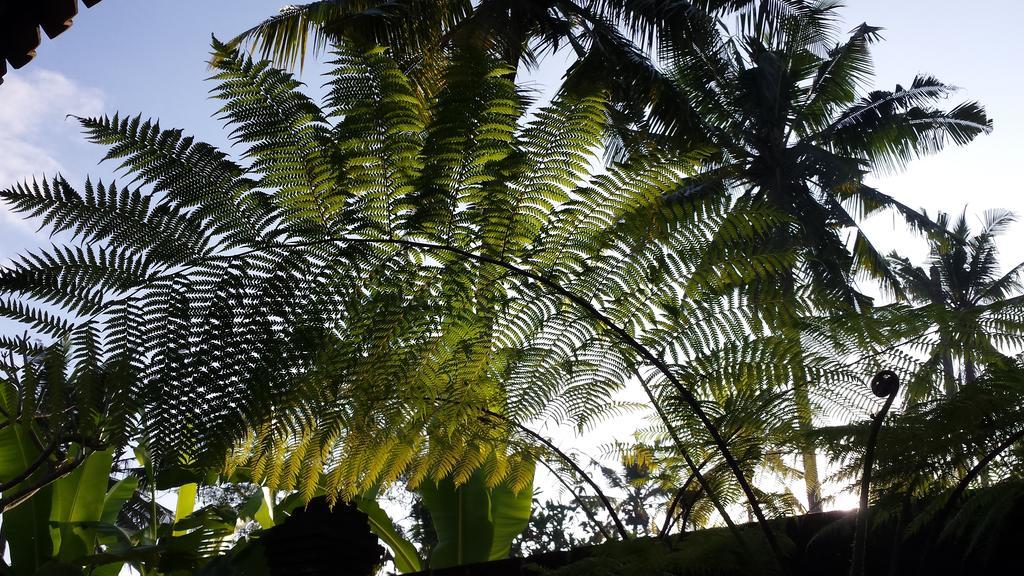 Taman liburan Imagine Bali Ubud (Bali)