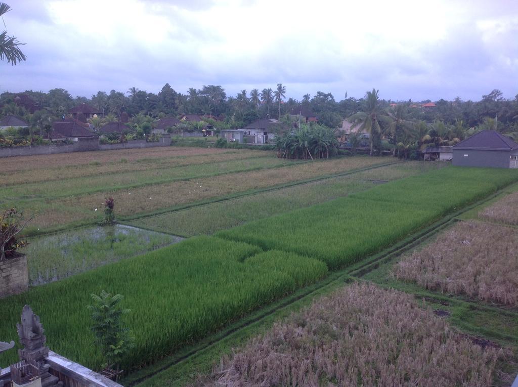 The Walet Villa *
