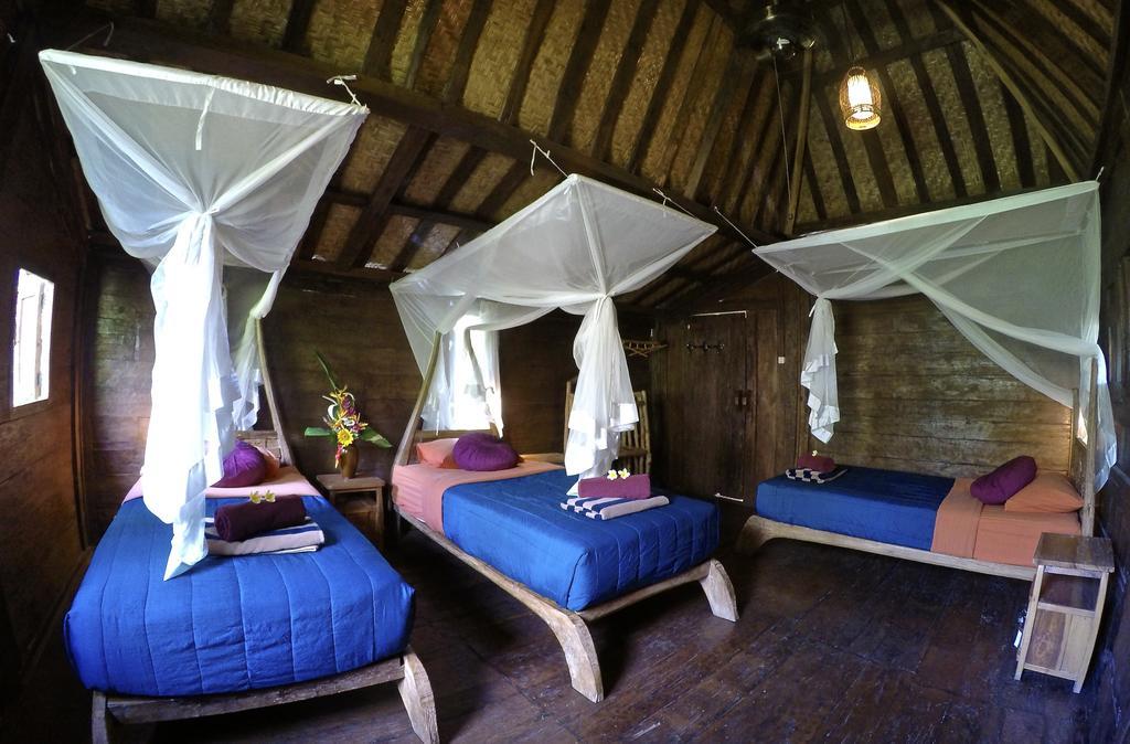 Dragonfly Village Holiday park Ubud (Bali)