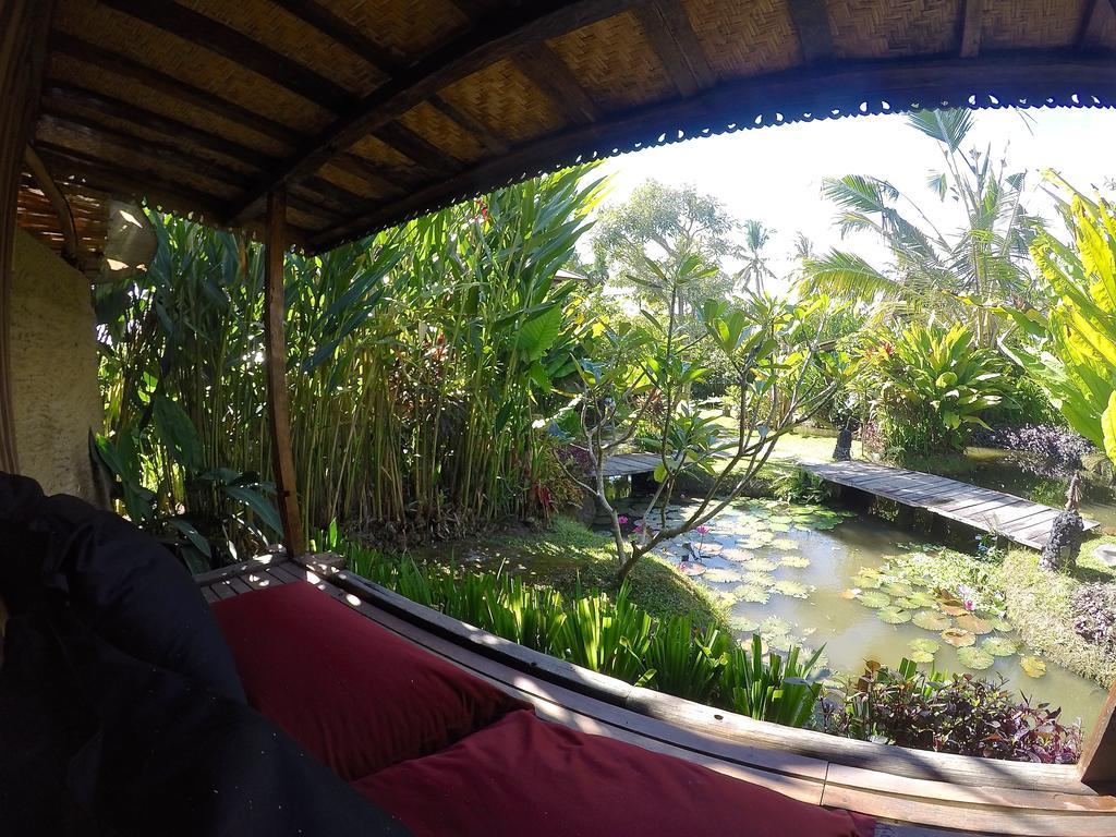 Dragonfly Village