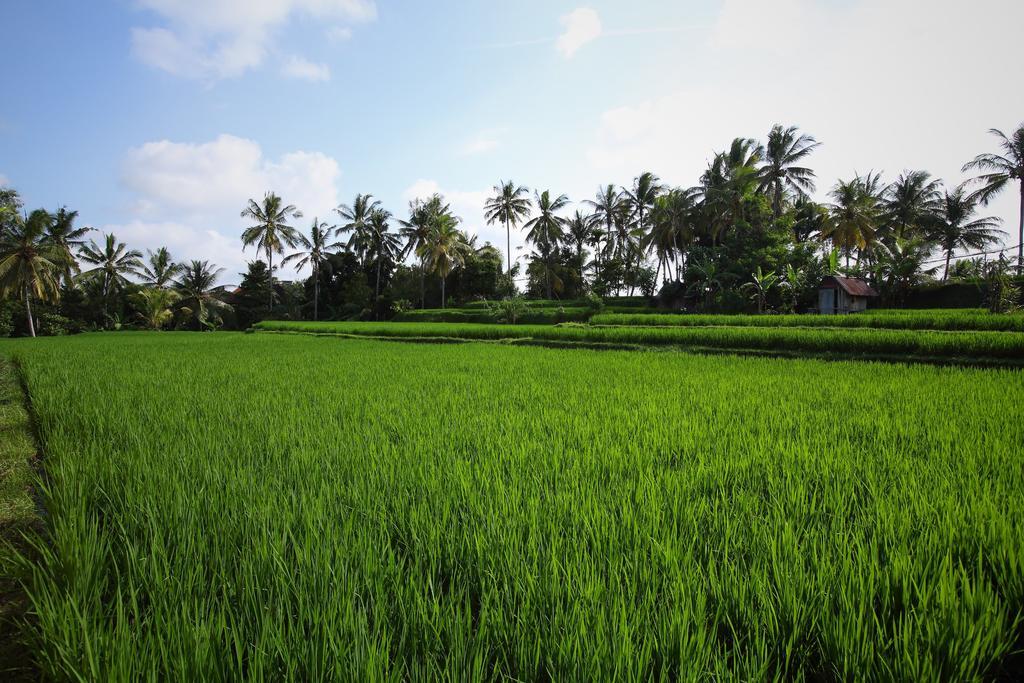 Villa Satori Bali Ubud (Bali)