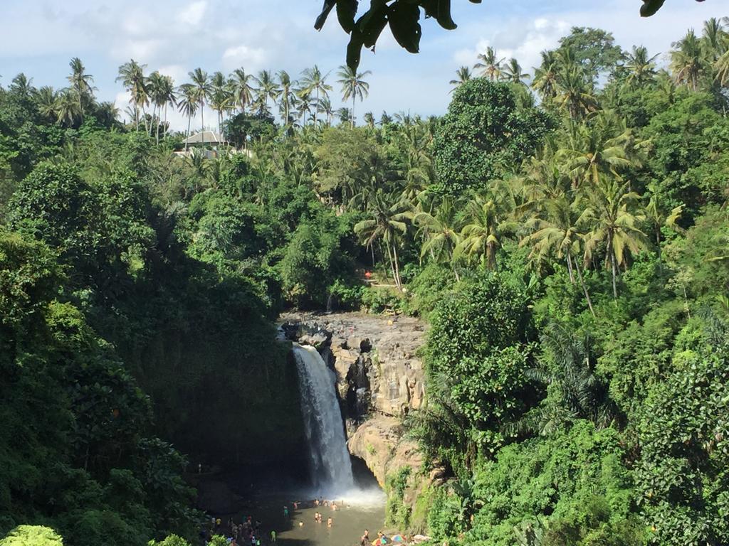 Guest house The Suris Ubud (Bali)