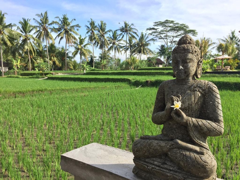 The Suris Ubud (Bali)