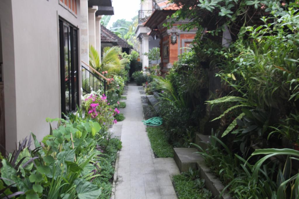 Dono Ubud