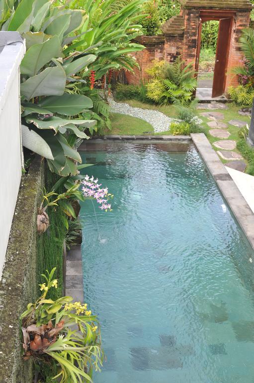 Villa The Walet