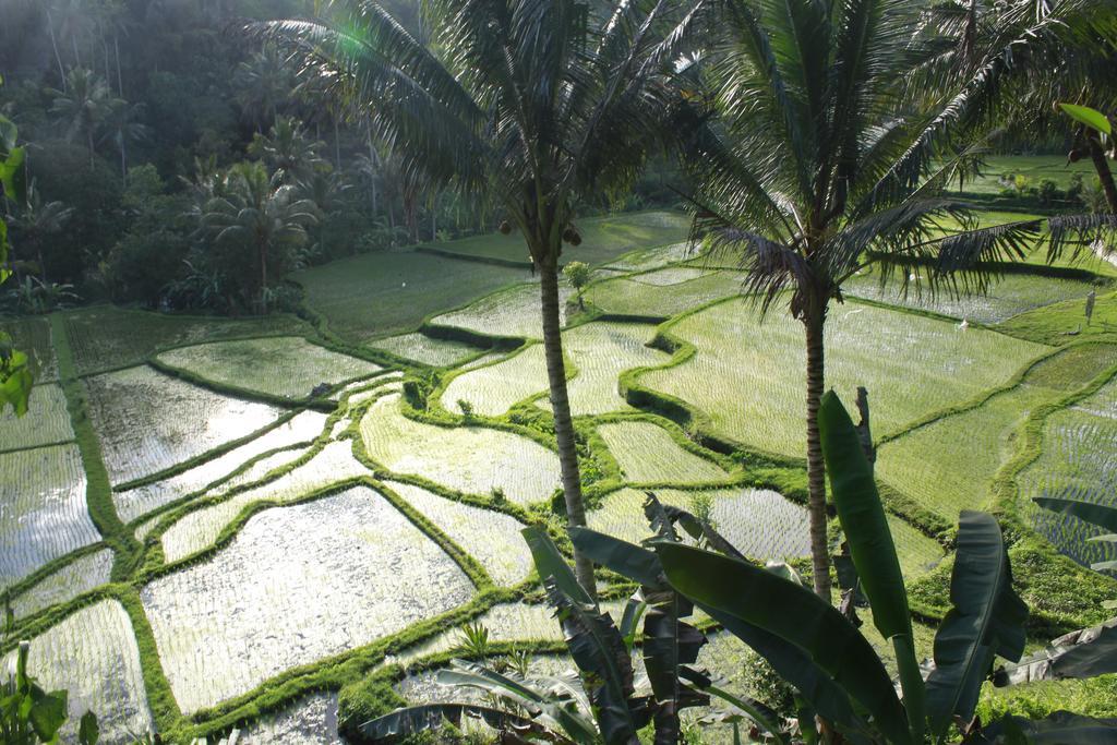 Guest house Junjungan And 3*
