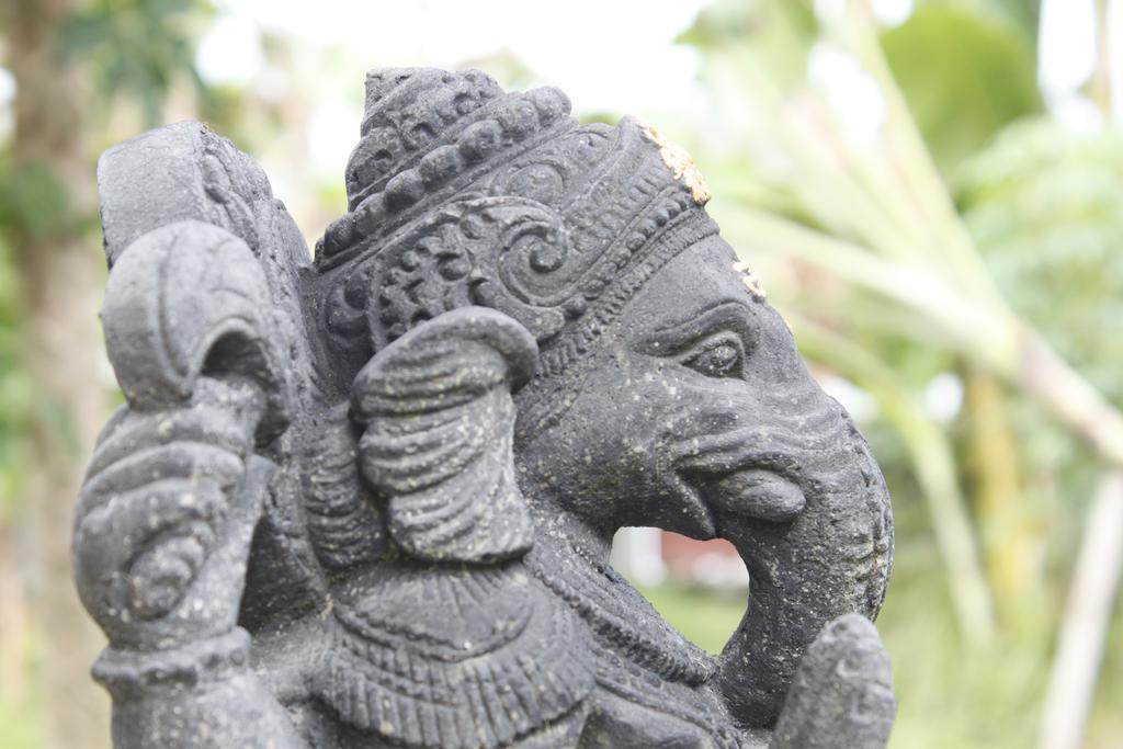 Demank Hidden Guest house Ubud (Bali)