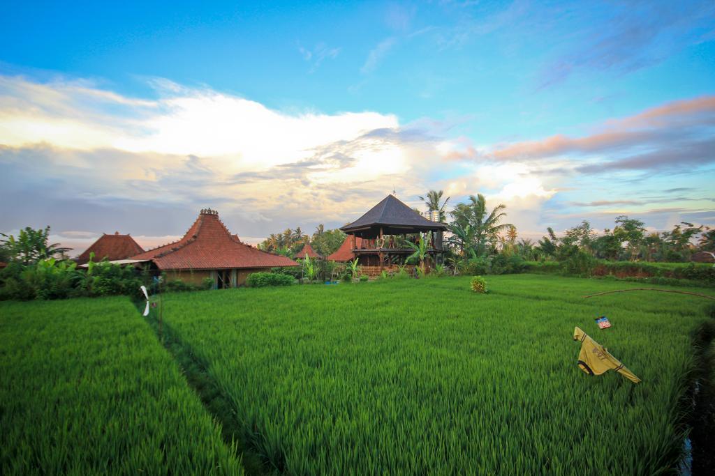 Dragonfly Village 3*