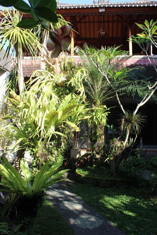 Lilacita Apartment