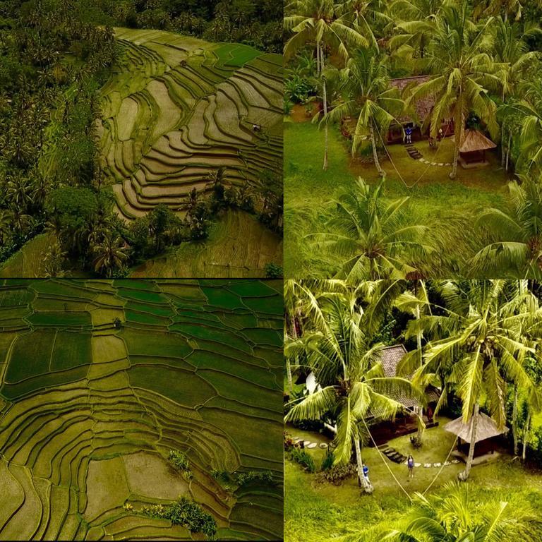 Green House Guest house Ubud (Bali)