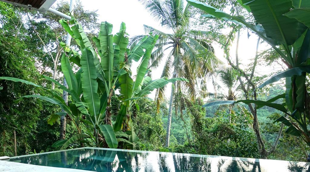 Madella * Ubud