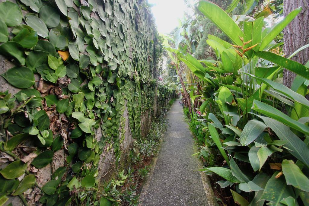 Casa de hóspedes Rahayu House Ubud