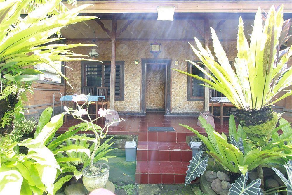 Guest house Citrus Tree - Shana
