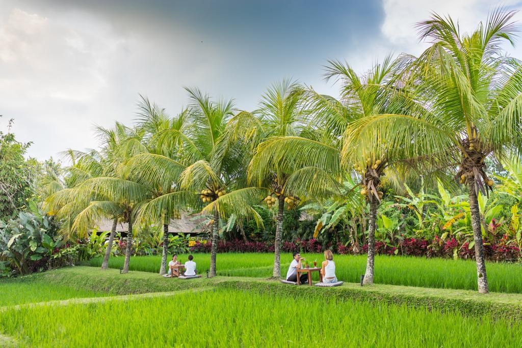 Resort Bebek Tepi Sawah Restaurant & Ubud (Bali)