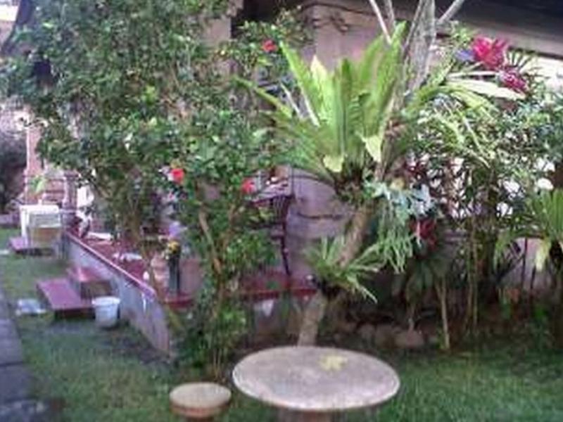 Uma Kutuh Albergue *
