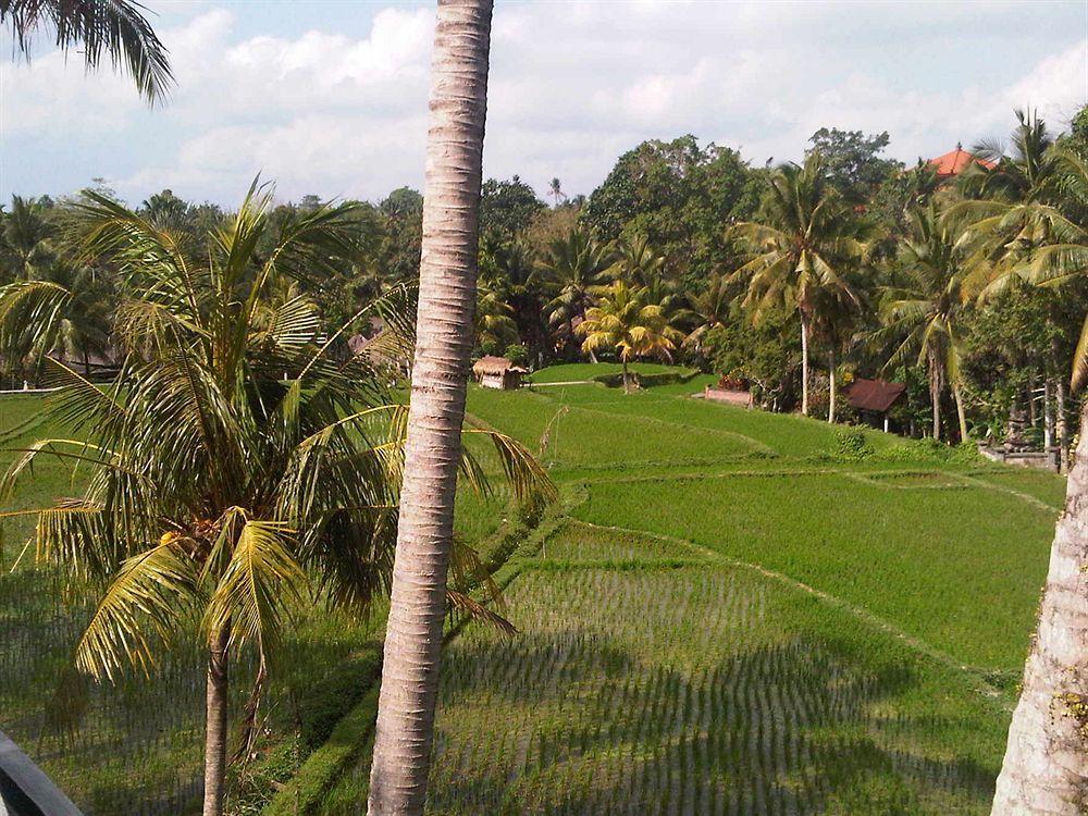 Villa Motama Ubud