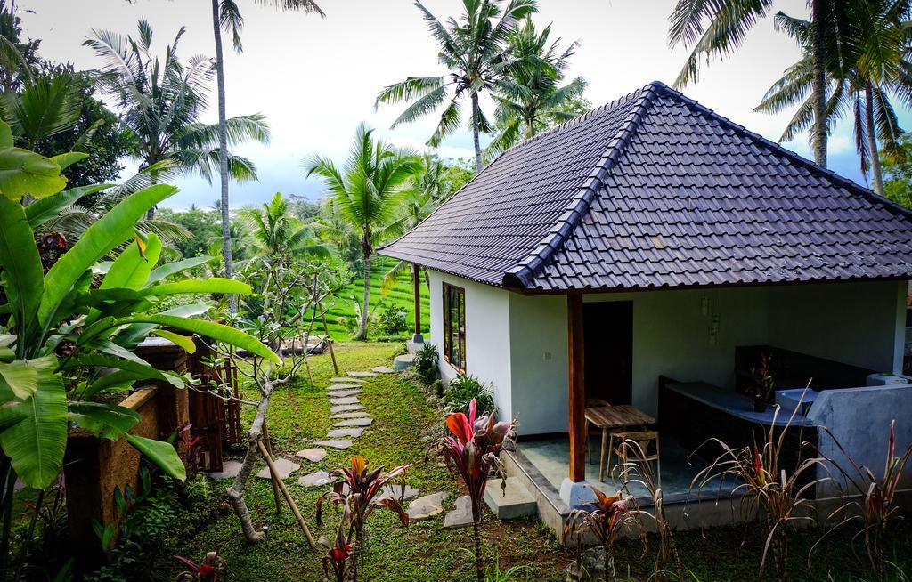 Green House Guest house 2*