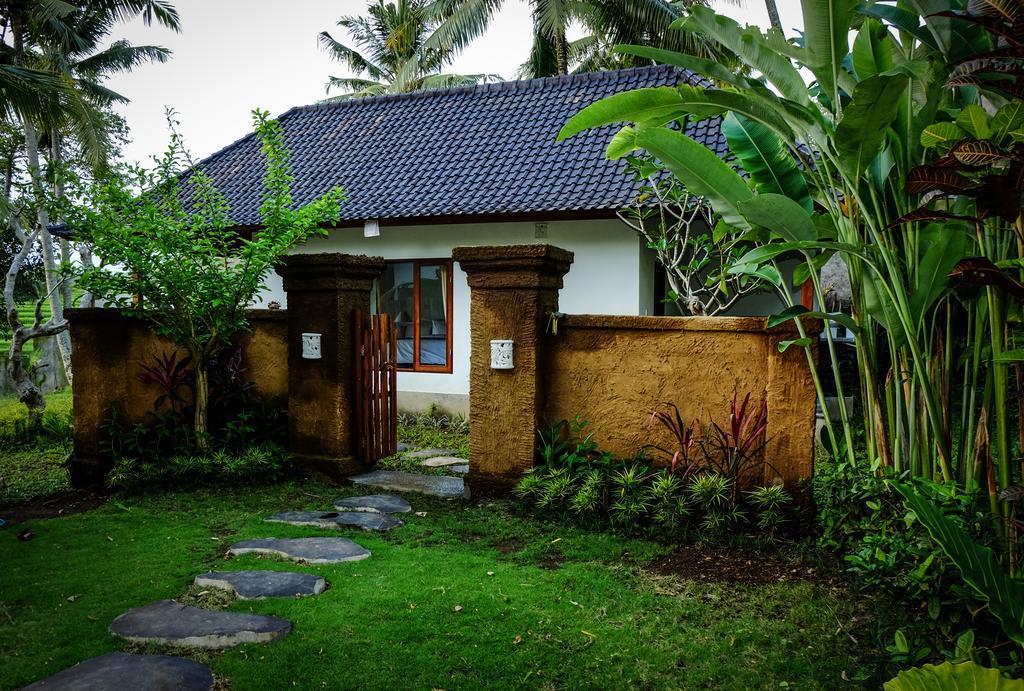 Guest house Green House 2*