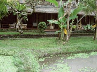 Jati