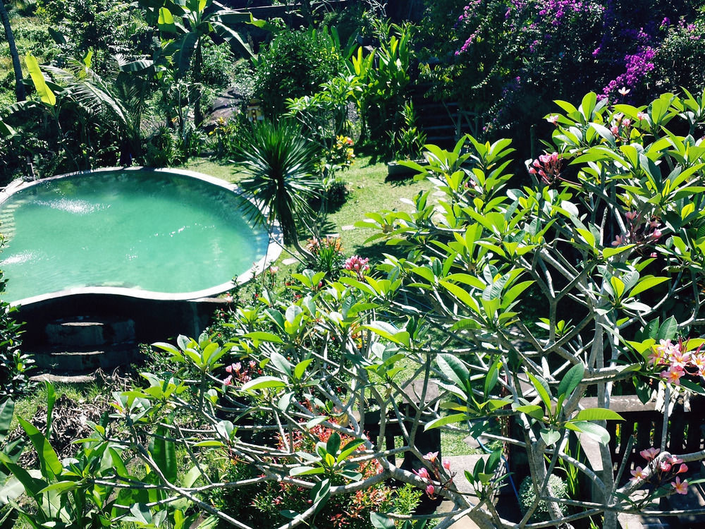 Terrace Campuhan Guest house Ubud (Bali)