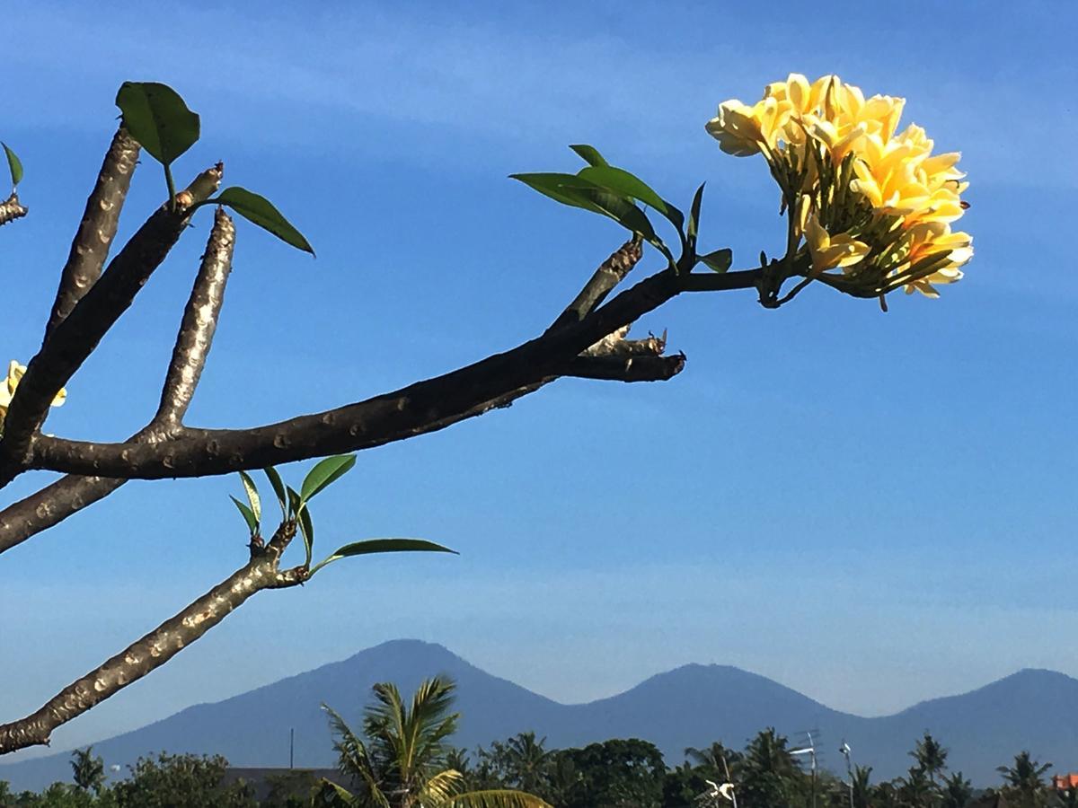 Bulan Bali Homestay Ubud (Bali)