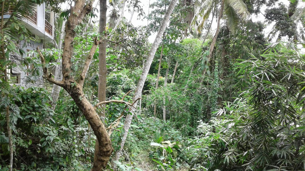 Gaufando Ubud (Bali)