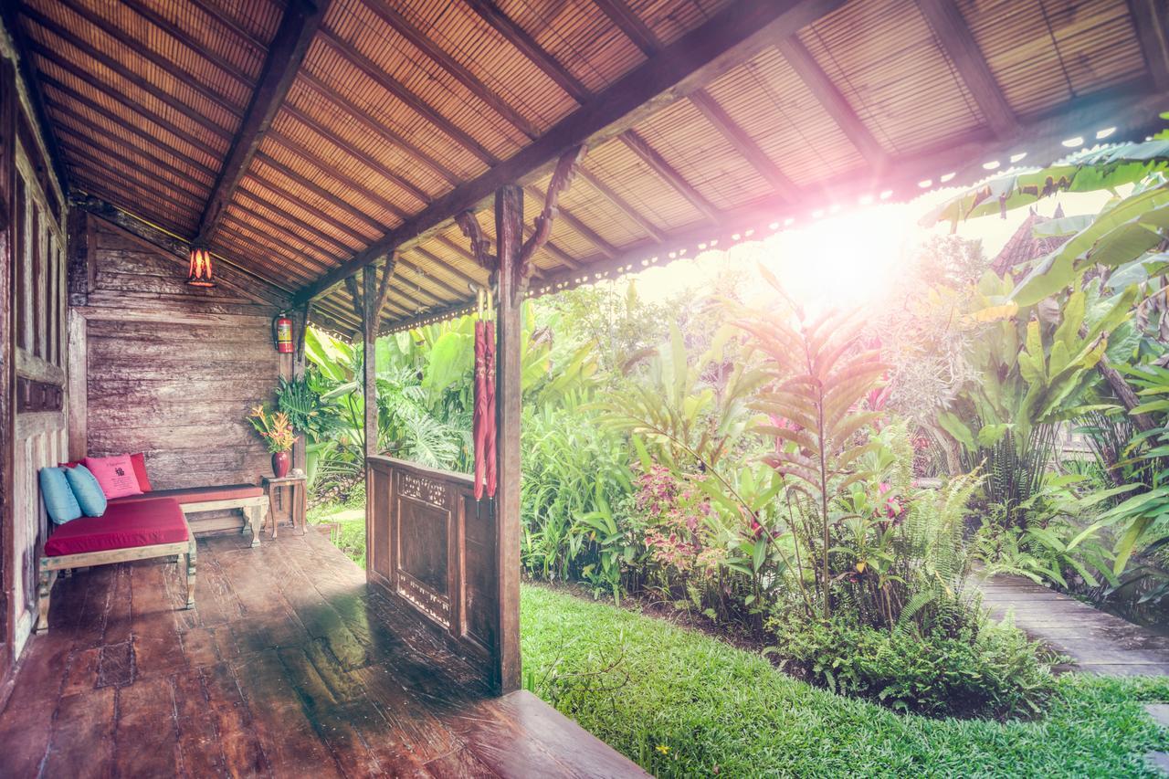Dragonfly Village Ubud (Bali)